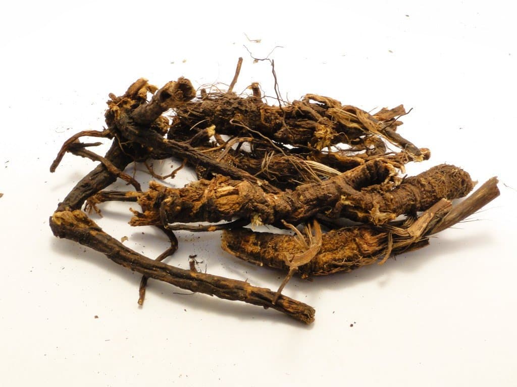 Osha Root — Herbs illustration