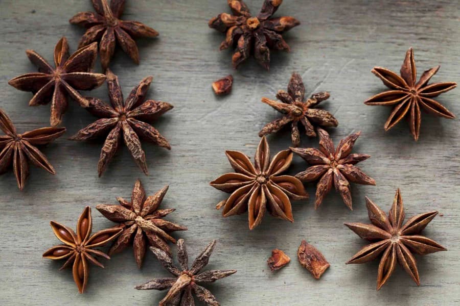 Anise — Herbs illustration