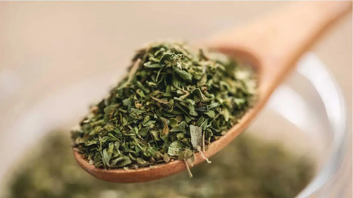 Oregano — Herbs illustration