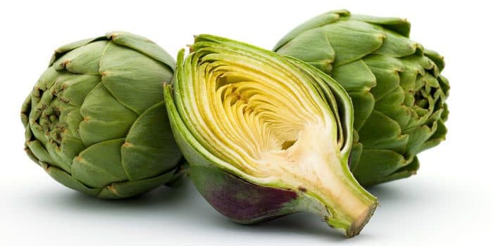 Artichokes — Herbs illustration