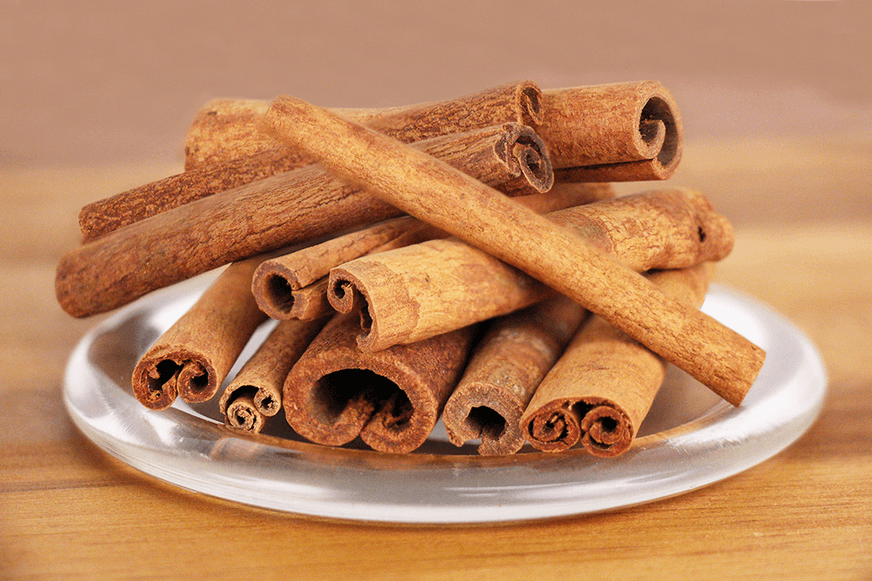 Cinnamon — Herbs illustration