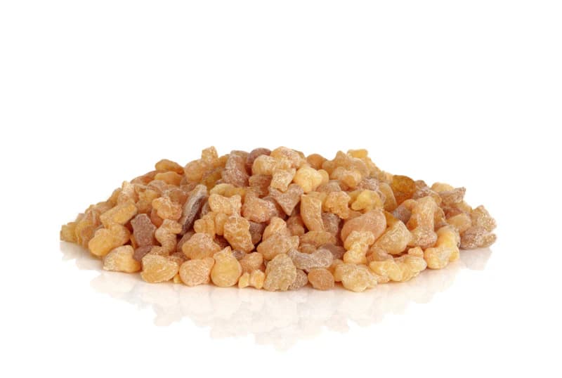 Frankincense — Herbs illustration
