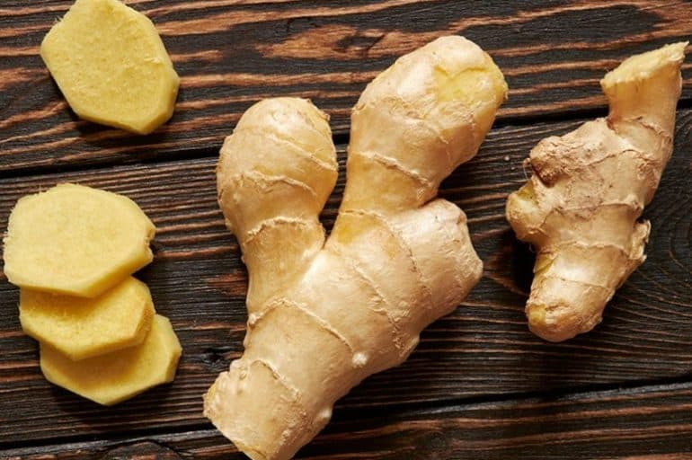 Ginger — Herbs illustration