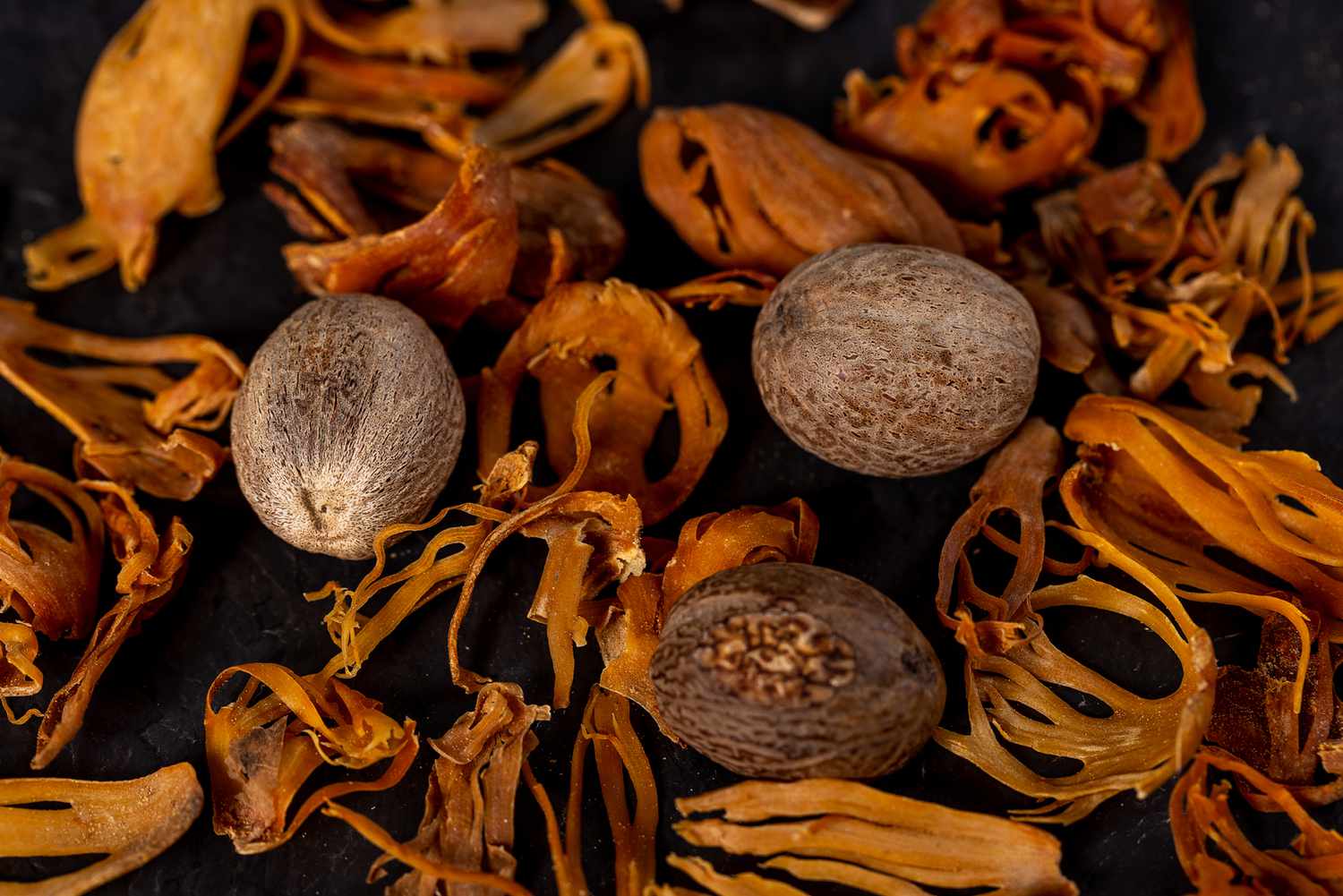 Nutmeg — Herbs illustration