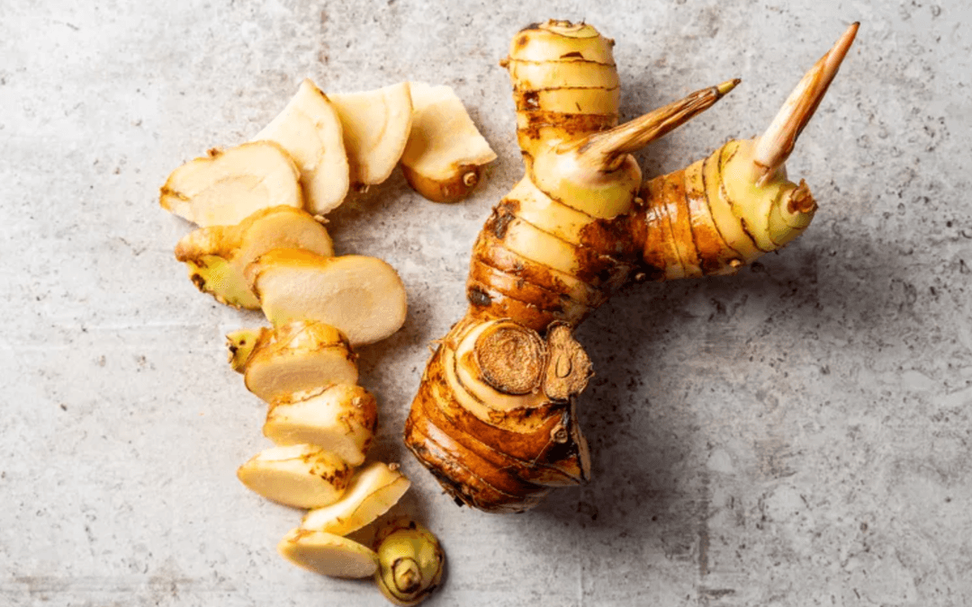Galangal — Herbs illustration