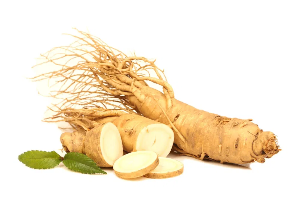 Ginseng — Herbs illustration