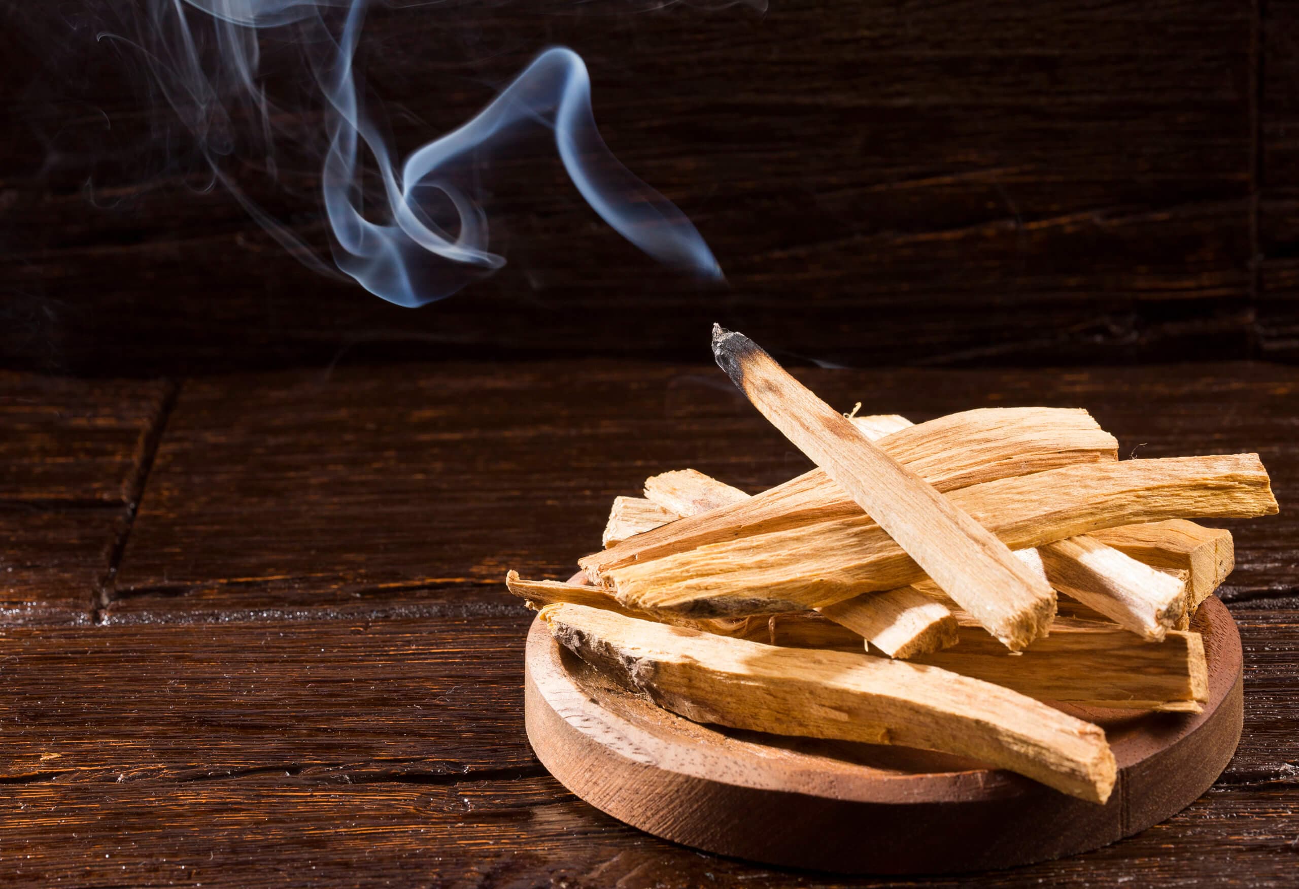 Palo Santo — Herbs illustration