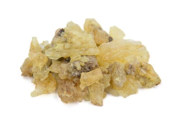 Copal — Herbs illustration