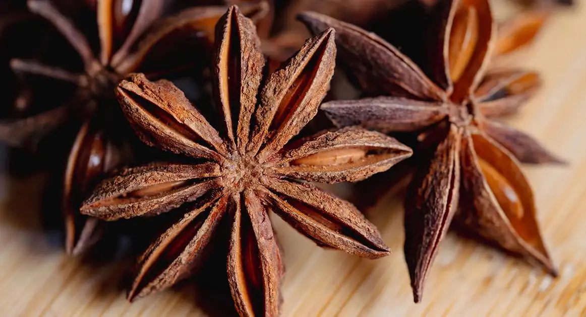 Star Anise — Herbs illustration